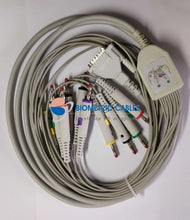Load image into Gallery viewer, 10 Lead Ecg Cable For Moulded